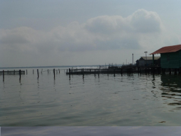 20151205_CGSM_54