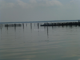 20151205_CGSM_93