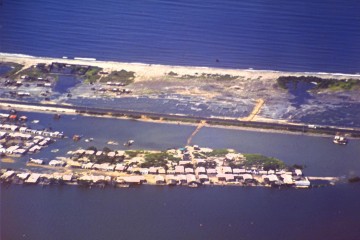Palmira 1994