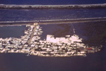 Palmira 1994