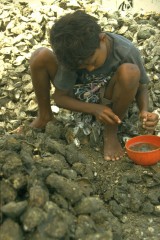 Pesca de concha 1994