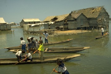 Escuela Nueva Venecia 1994