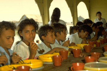 Escuela Nueva Venecia 1994