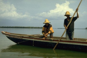 Pesca con red de línea 1994