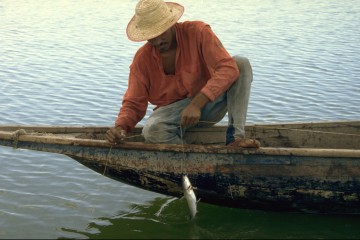Pesca con red de línea 1994