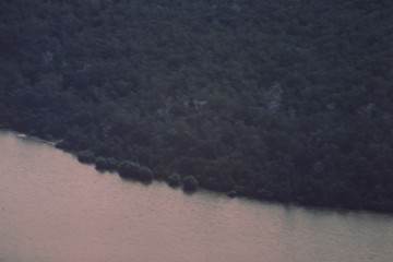 Manglar 1994