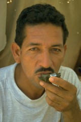 Pesca de ostra 1994