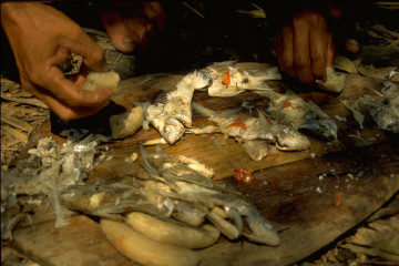 Pescadores almorzando 1994