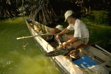 Pescadores almorzando 1994