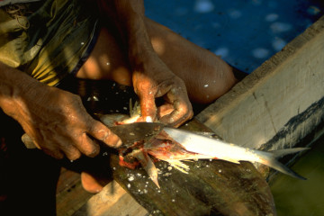 Pescadores almorzando 1994