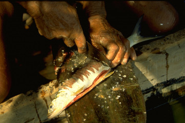 Pescadores almorzando 1994