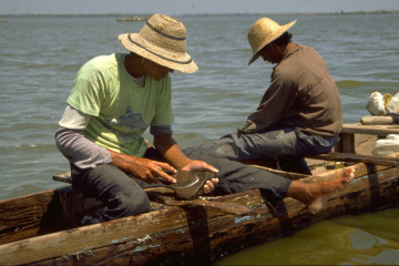 Preparación del pescado 1994