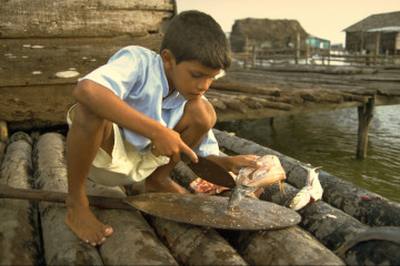 Preparación del pescado 1994