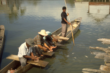 Preparación del pescado 1994