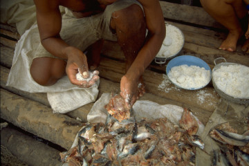 Preparación del pescado 1994