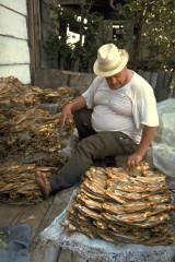 Preparación del pescado 1994