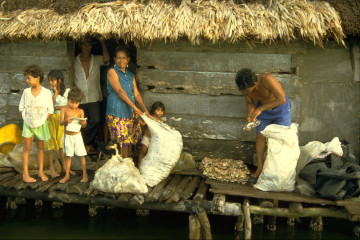 Preparación del pescado 1994