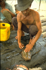 Preparación del pescado 1994