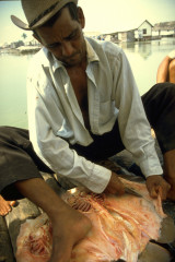 Preparación del pescado 1994