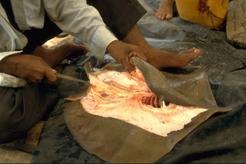 Preparación del pescado 1994