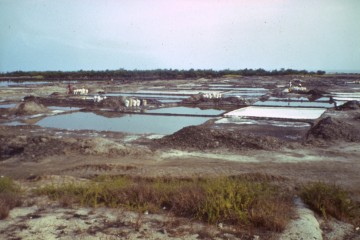 Pozos de sal