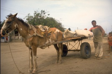 Transporte