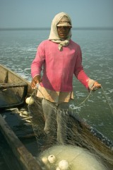 Pesca con red de cerco 1994