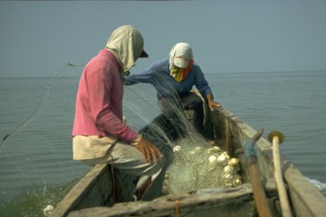 Pesca con red de cerco 1994
