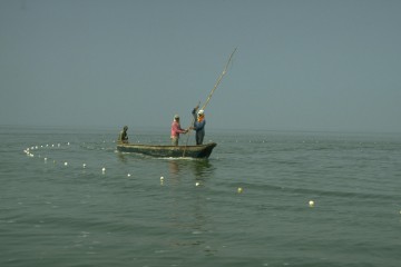 Pesca con red de cerco 1994