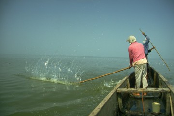 Pesca con red de cerco 1994