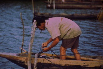 Pesca con trampas 1994