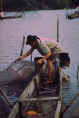 Pesca con trampas 1994
