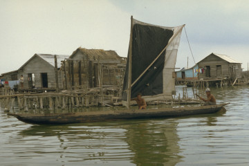 Venta de pescado 1994