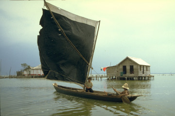 Venta de pescado 1994