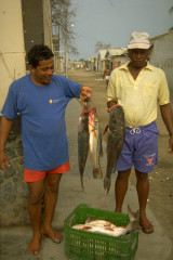 Venta de pescado 1994
