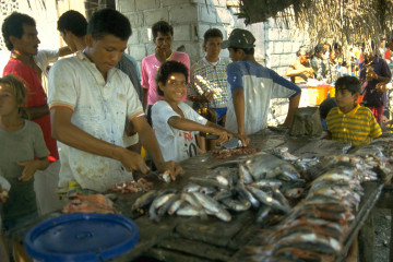 Venta de pescado 1994