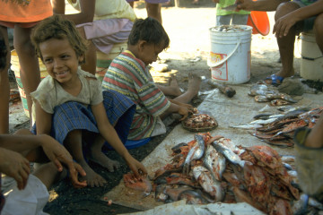 Venta de pescado 1994