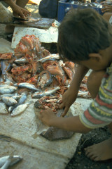 Venta de pescado 1994