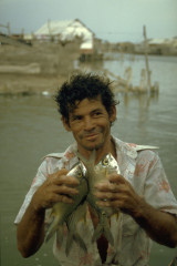 Venta de pescado 1994
