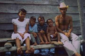 Vida familair 1994