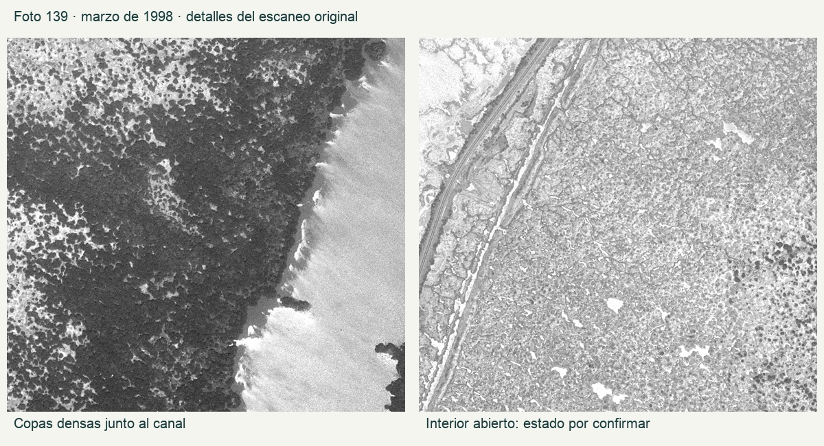 Detalles del fotograma 139: copas densas junto al canal e interior abierto, sin clasificación ecológica validada